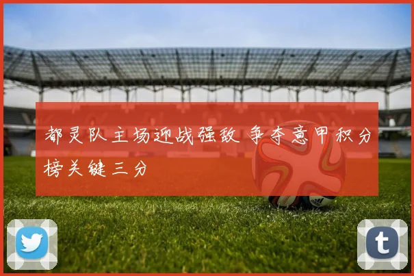 都灵队主场迎战强敌 争夺意甲积分榜关键三分
