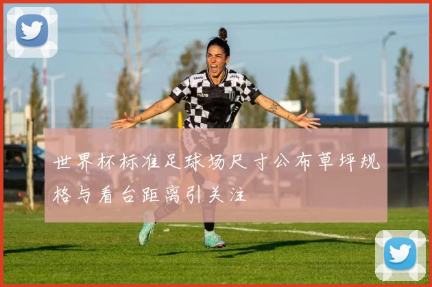 世界杯标准足球场尺寸公布草坪规格与看台距离引关注