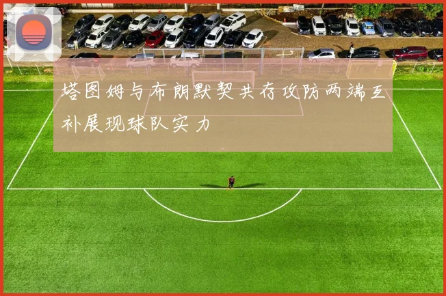 塔图姆与布朗默契共存攻防两端互补展现球队实力