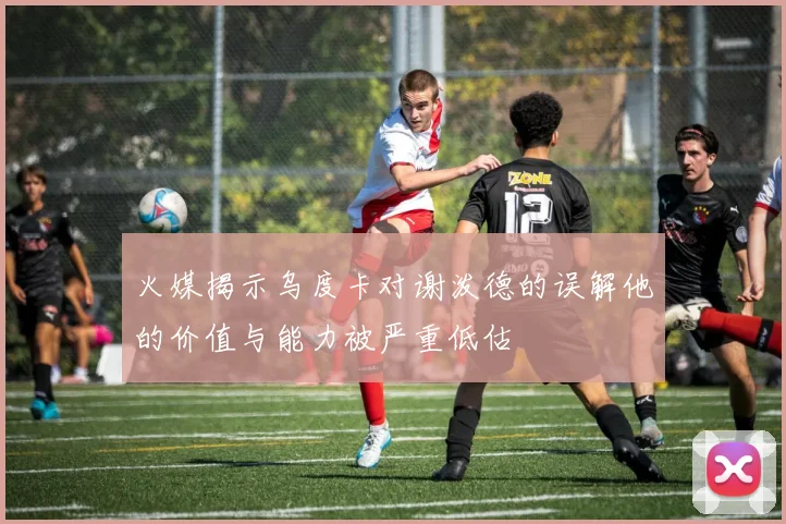 火媒揭示乌度卡对谢泼德的误解他的价值与能力被严重低估