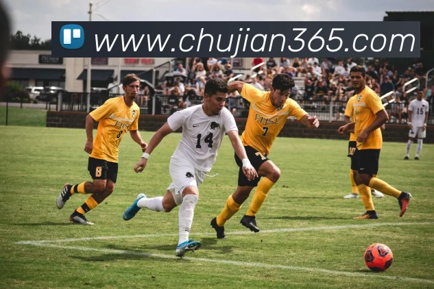 星空体育官网登录平台APP 高清赛事图